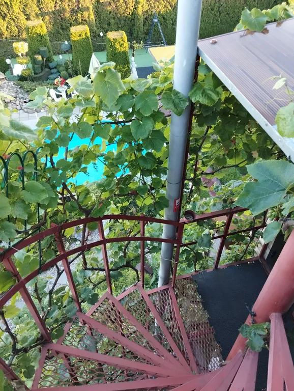 Апартаменты с бассейном
ДомКрус