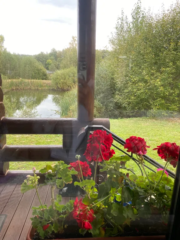 Коттедж Домик у леса с видом на пруд — Ваньково