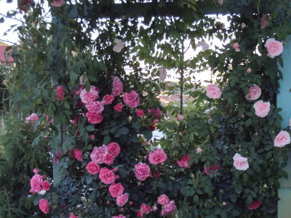 Квартира у моря