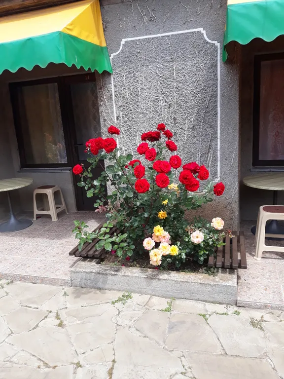 Квартира Комната — аренда посуточно в Николаевка