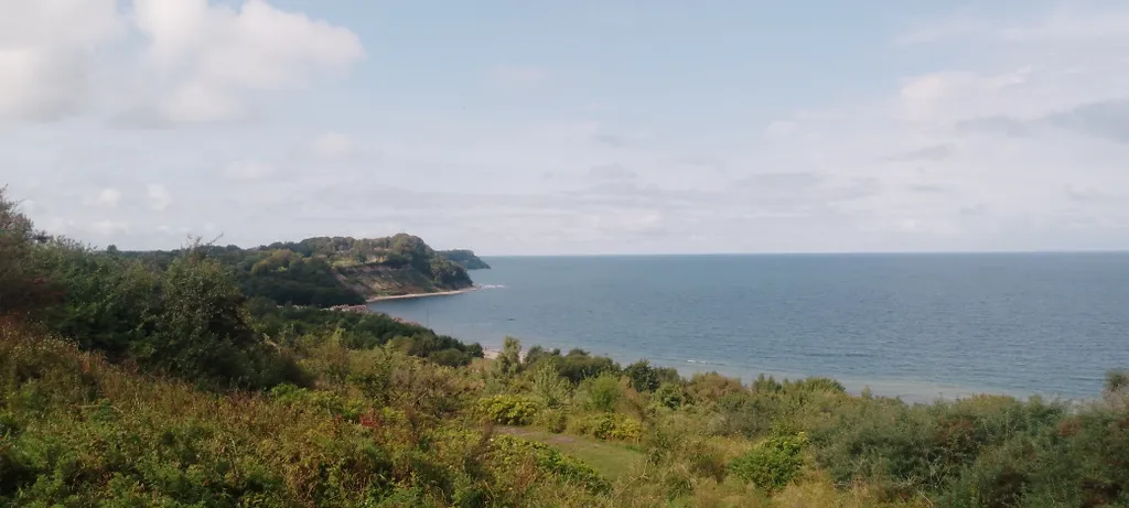 Квартира-студия с видом на сосновый бор