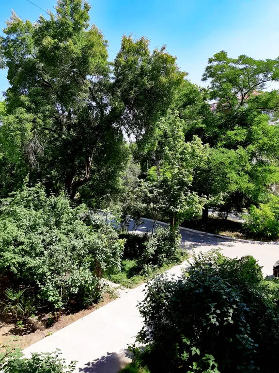 Уютная квартира, недалеко от моря и ТЦ Муссон