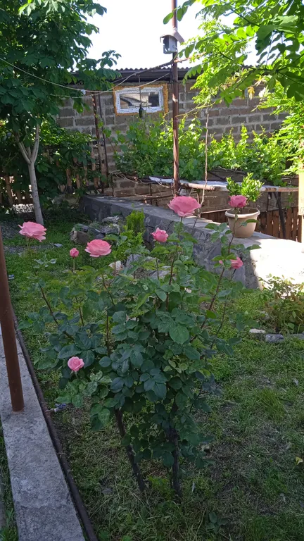 Апартамент с панорамным видом