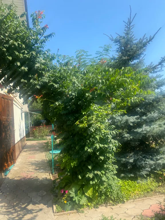 С бассейном рядом с морем