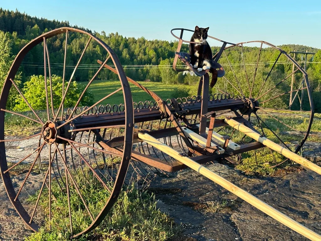 Агроусадьба Ивановых, старый хутор Тауно Туоми
