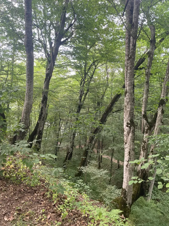 Гостевой домик Дубрава в горах Адыгеи