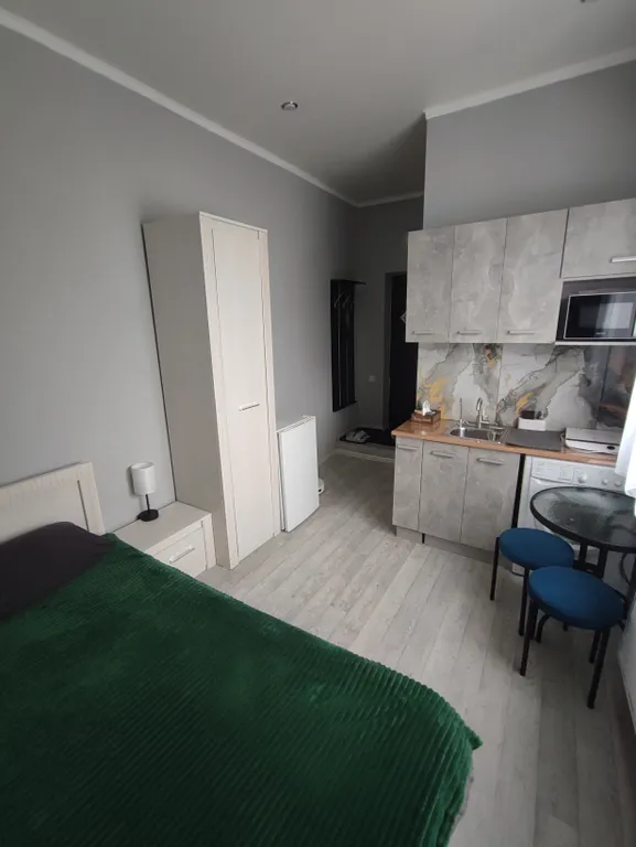 Студия в центре