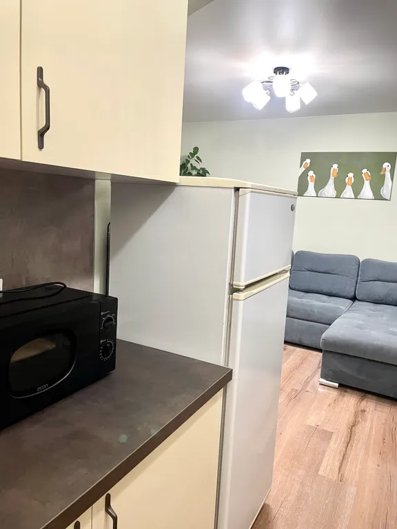 3-комнатная квартира в центре