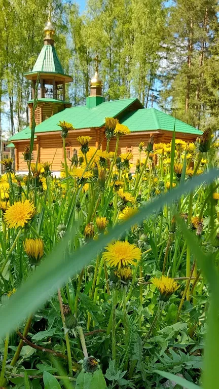 Уютная квартира на границе Латвии и Беларусь