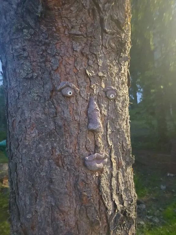 Уютный домик-баня с купелью в тихом местечке