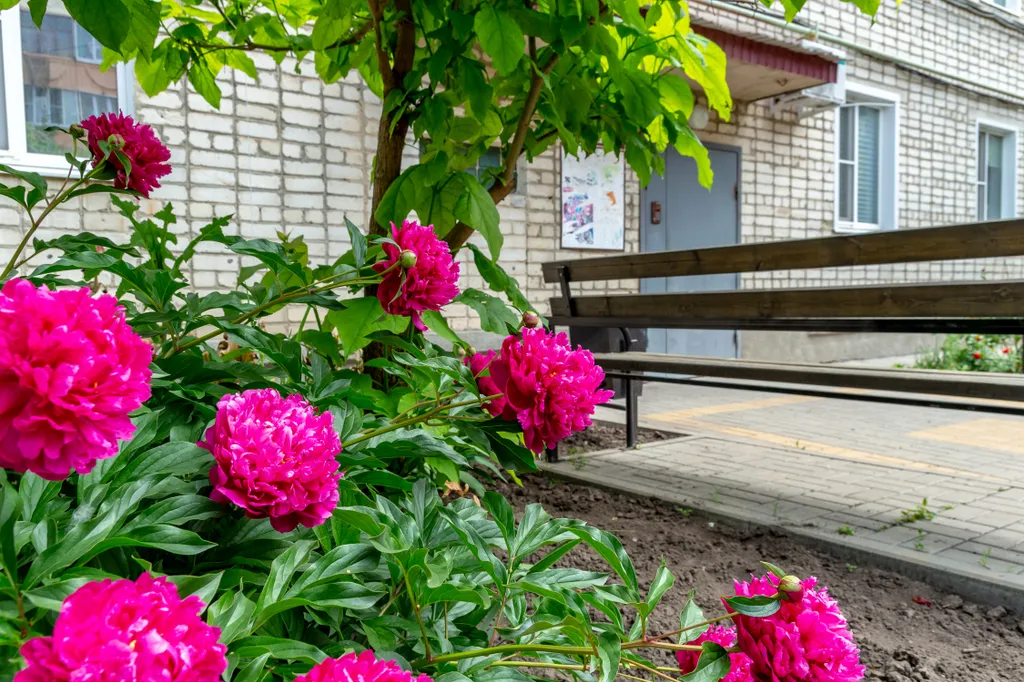 -2х комнатная квартира Business Apart Lux