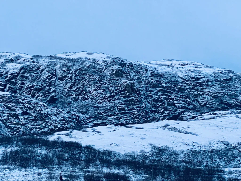 Квартира с камином