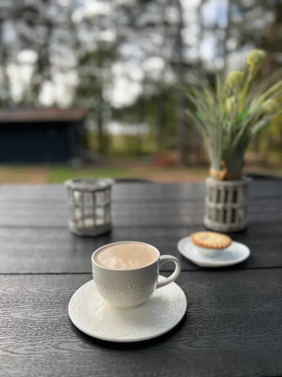 Стильный дом на берегу Ладожского озера с панорамным видом