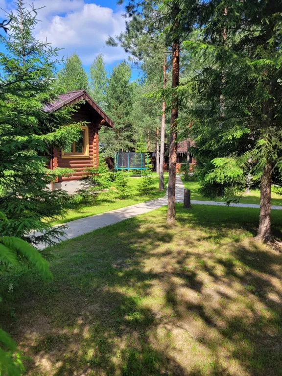 Дом в сосновом лесу