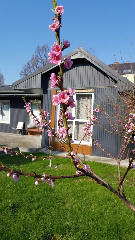 Коттедж Уютный домик в центральном районе города — Калининград