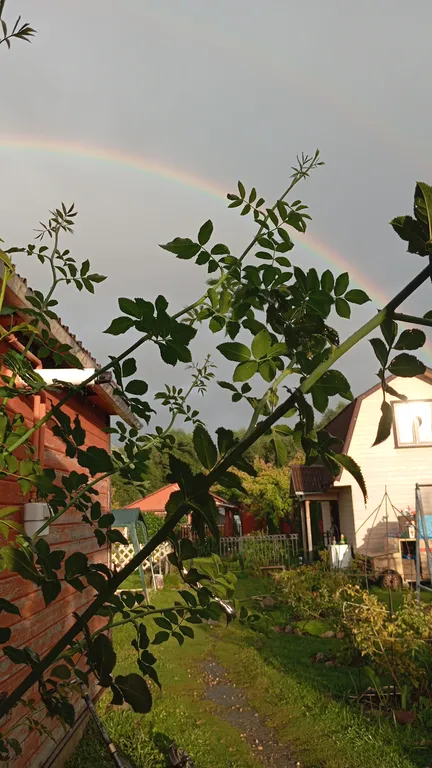 Уютная комната