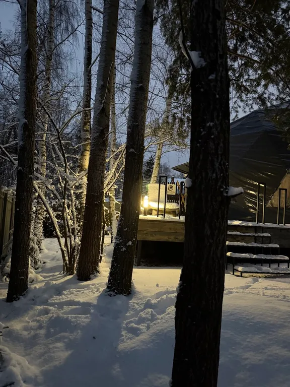 Новая сфера для глэмпинга Бёрд&Self vibe с дизайнерским интерьером