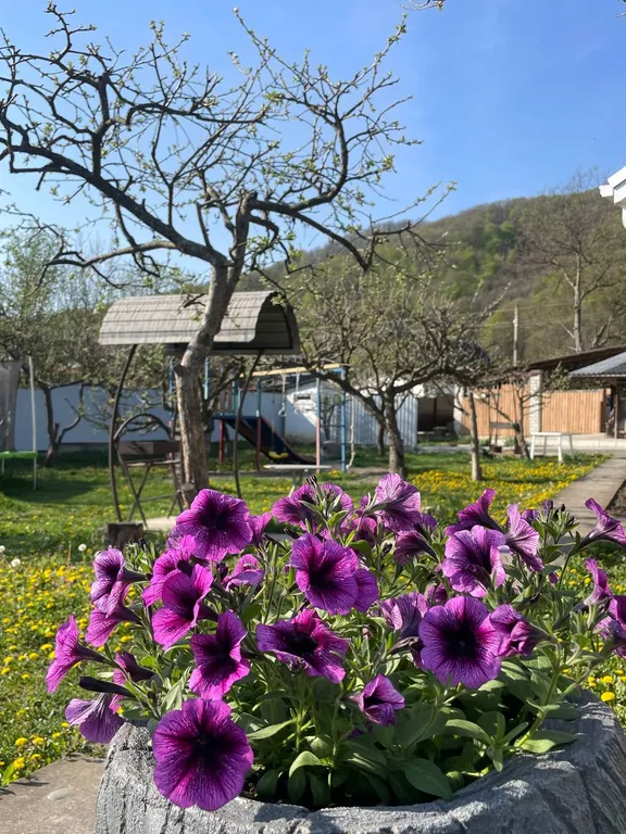 Номер с видом на горы Релакс