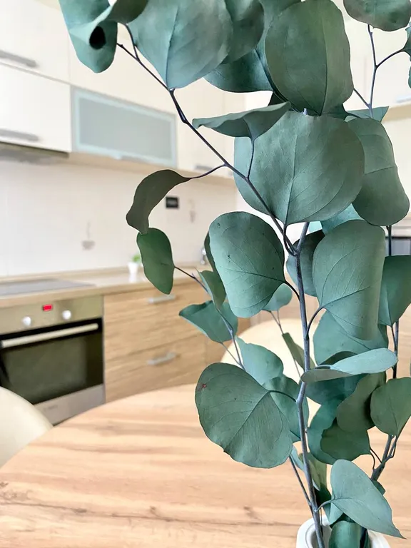 2-к. квартира с современным дизайном в центре от Kravc Group