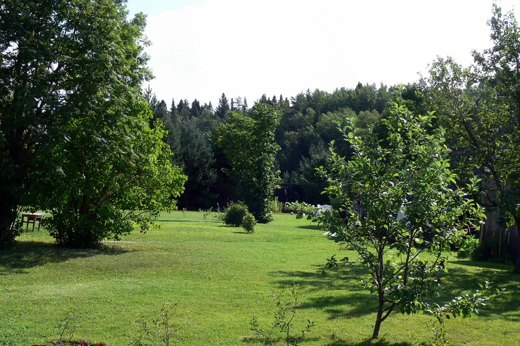 Коттедж Гостевой дом Илму с баней — Нижние Виданы