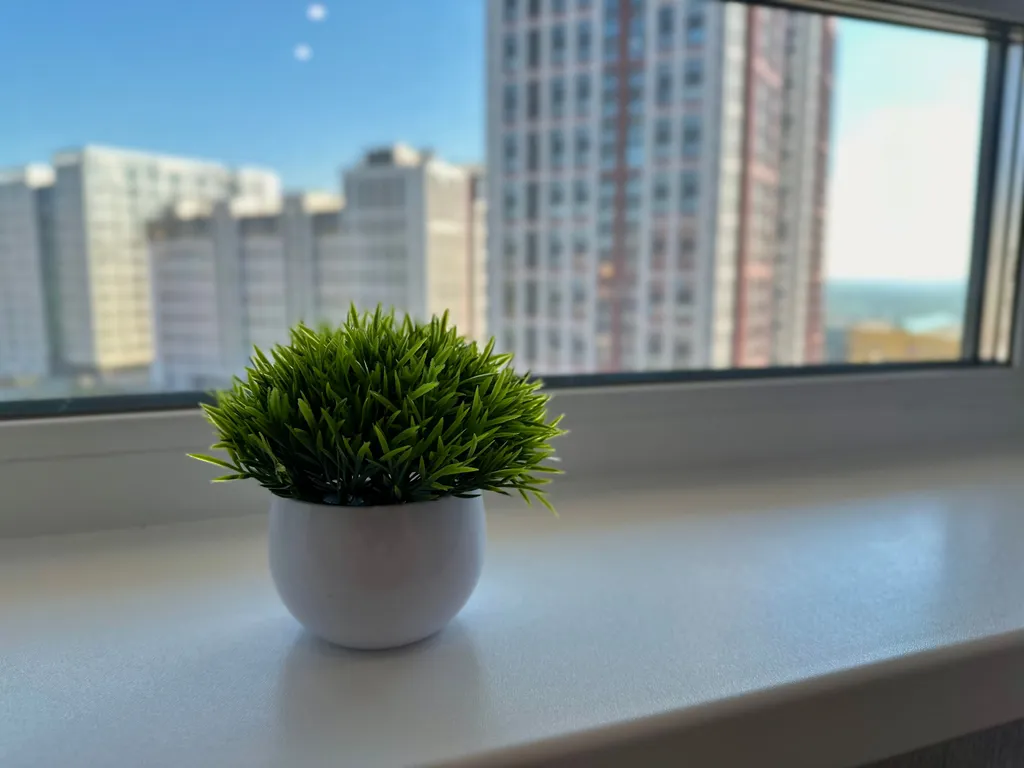 Студия Эрида у ТРЦ Планета и Дворца борьбы