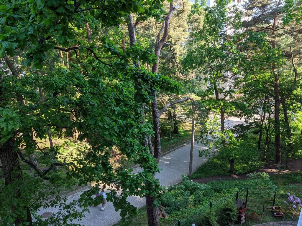 Квартира 1-комнатная Квартира — Светлогорск