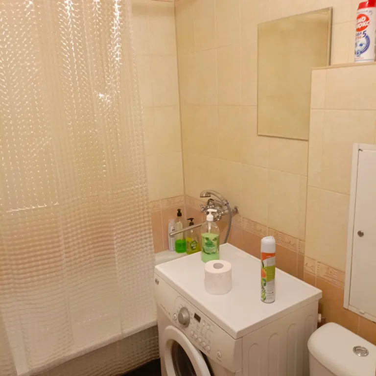 Уютная квартира в центре у метро Молодежная, Пушкинская