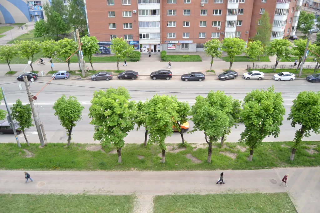 Квартира рядом с кафе Домино