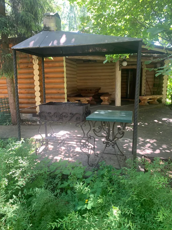 Дом с баней в сосновом бору на озере