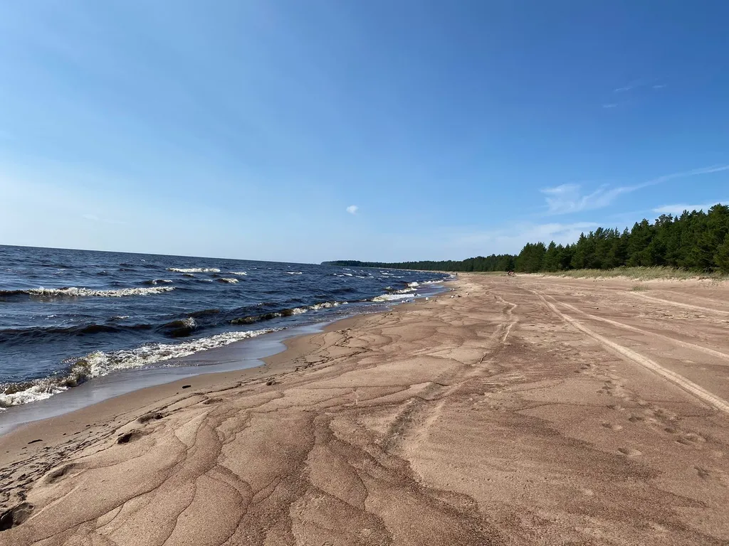 Гостевой дом в сосновом бору на Ладоге