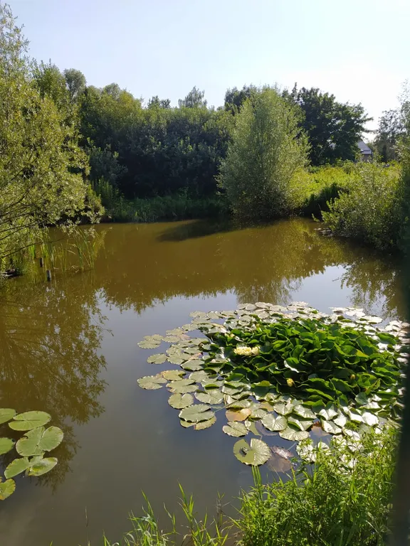 Просторный дом