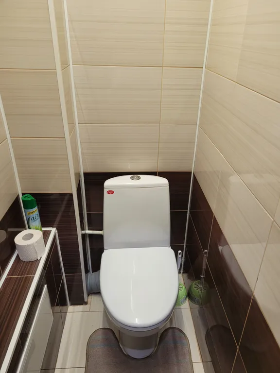 3-комнатная квартира с 2 с/у