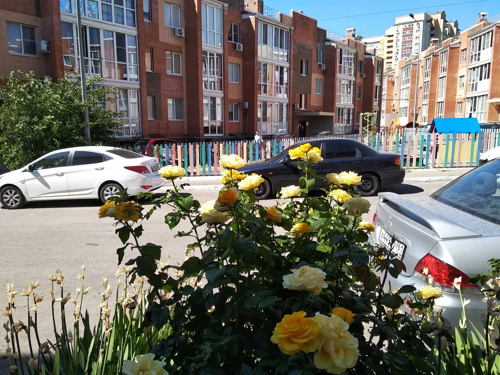 Уютные апартаменты на Венере