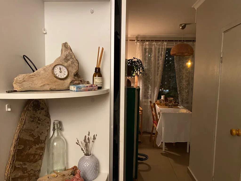 Cozy single room near Skolkovo Innovation Center