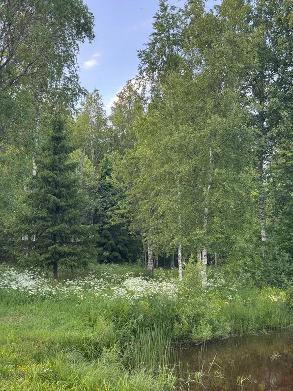 Дом 110m2 — чан, кухня, Wi-Fi
