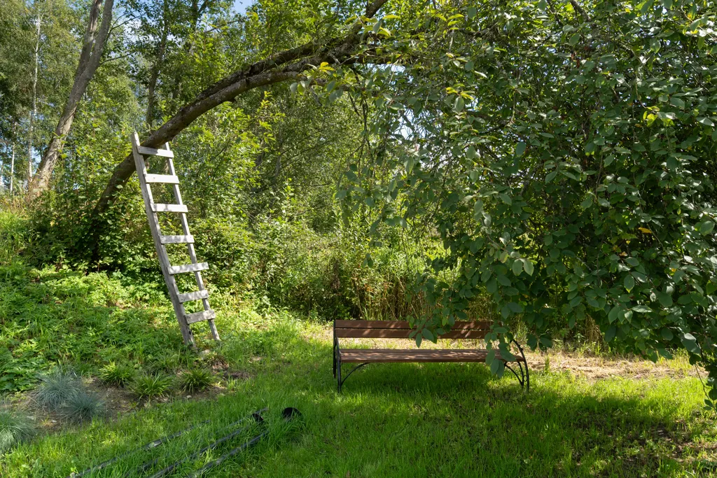 Загородный дом на берегу реки со своим пляжем