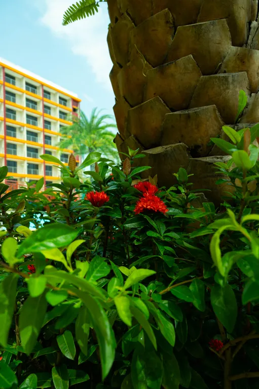 Квартира с большим бассейном и теннисным кортом рядом с пляжем