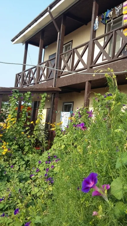 Квартира Комната — Витино