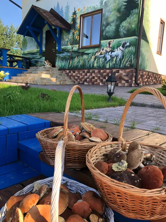 Усадьба Выкопань