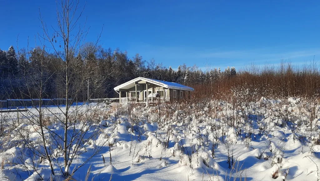 Дом на берегу озера у леса