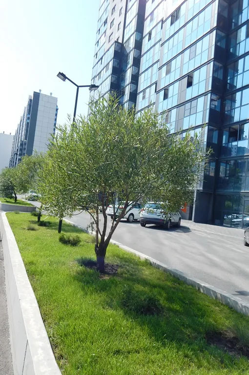 Студия в элитном ЖК Эвопарк в самом центре