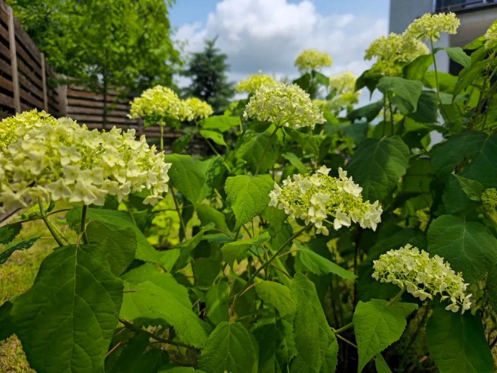 Коттедж Уютный дом для дружной семьи — Барановка