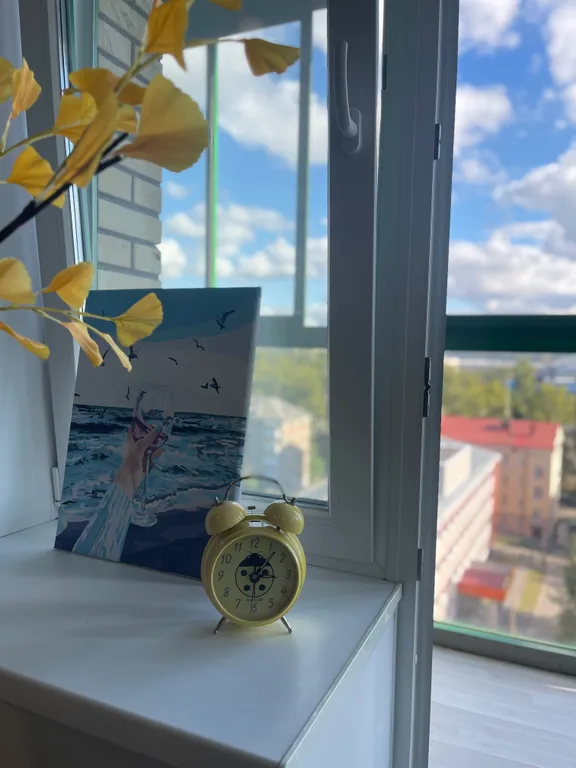 Студия в центре с видом на Северную Двину