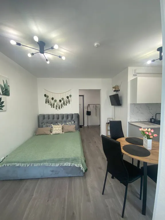 Квартира 1-комнатная Квартира — Бугры