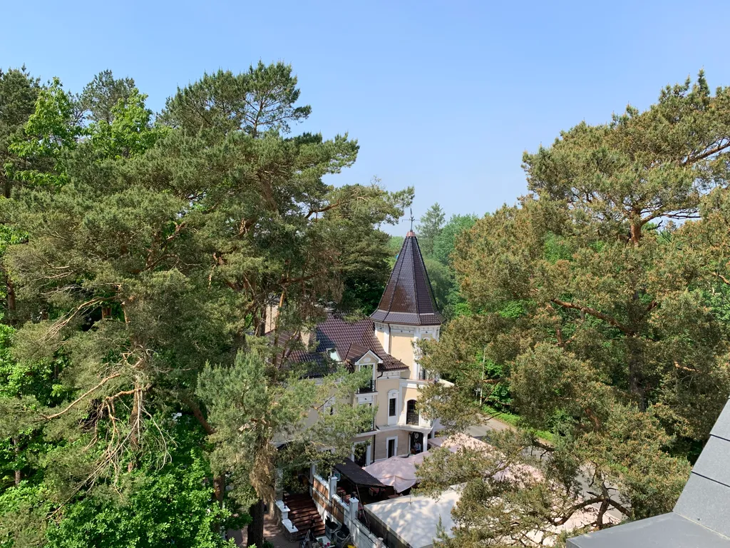 Легенда Светлогорска