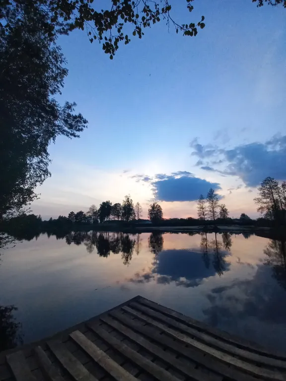 Деревянный дом в лесу рядом с рекой