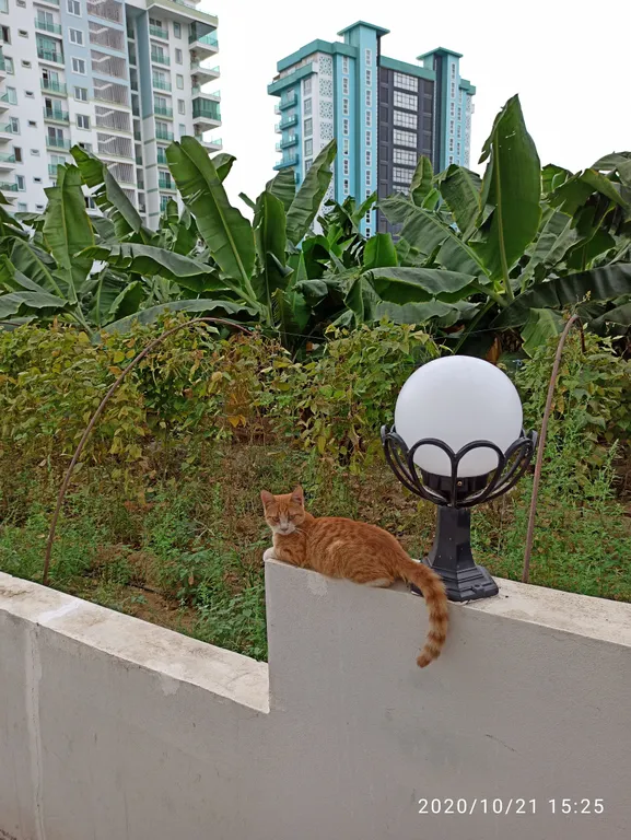 Просторная квартира с двумя видовыми балконами