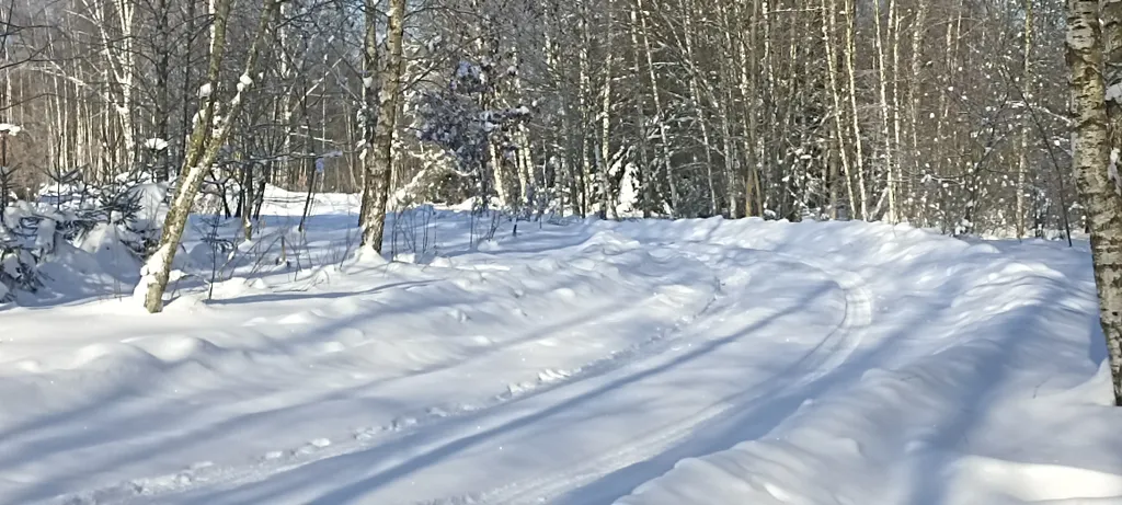 Усадьба Анатолия