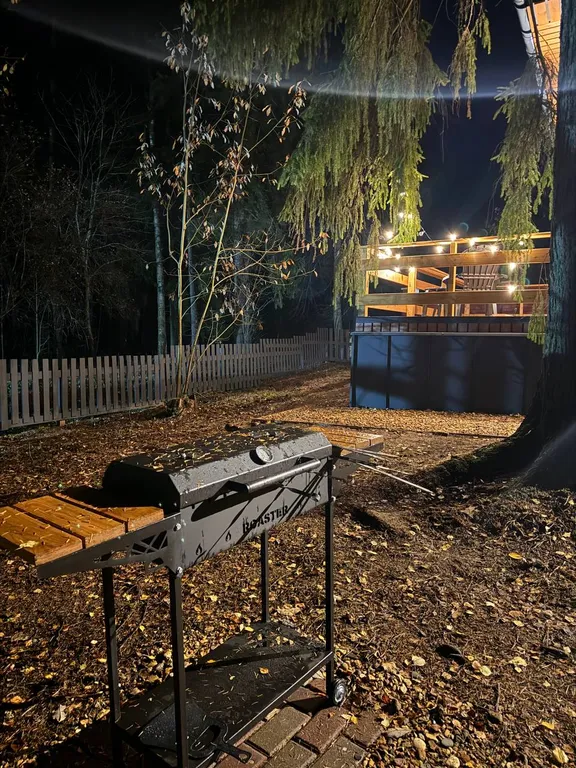 Дом с чаном и сауной в лесу