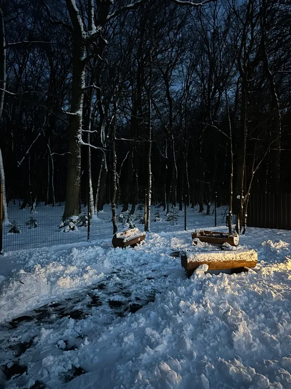 Дом в лесу с баней и бассейном